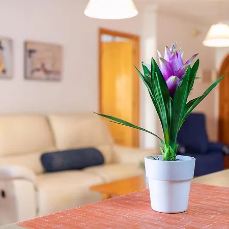 Daire Ideal Verano Con Piscina E Invierno Con Cocina De Lena